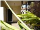 81 Curwen Terrace, Chermside QLD 4032