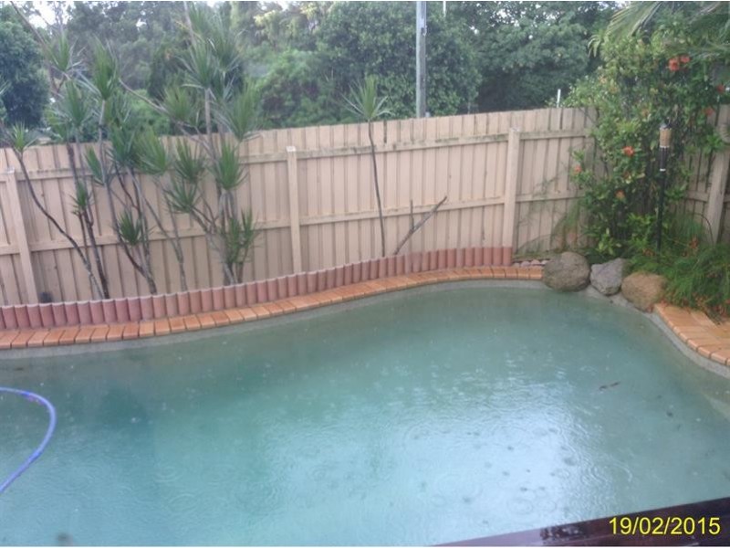 31 Chateau Street, Carseldine QLD 4034