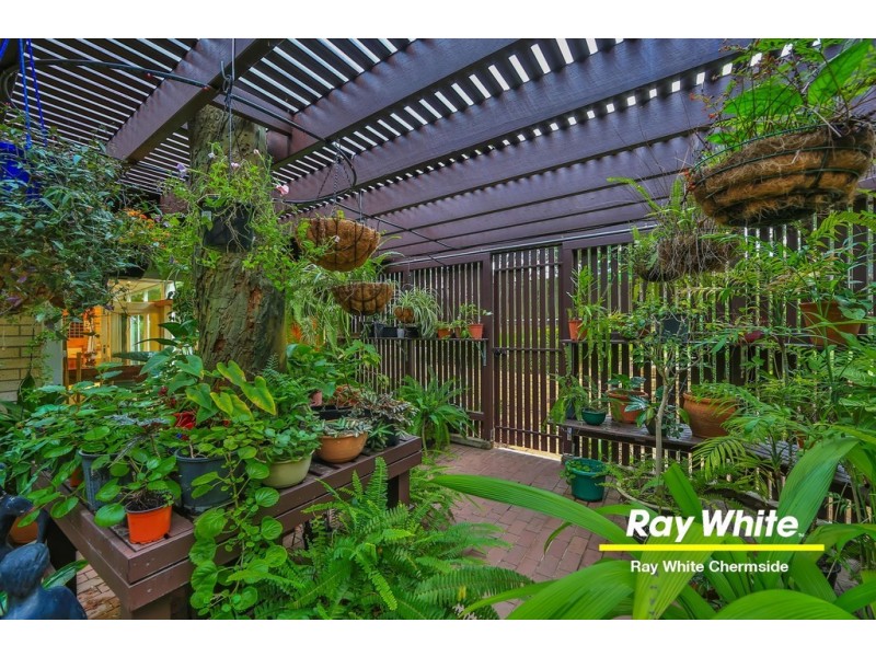 6 Bundella Street, Aspley QLD 4034