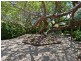 806 Beams Road, Bridgeman Downs QLD 4035