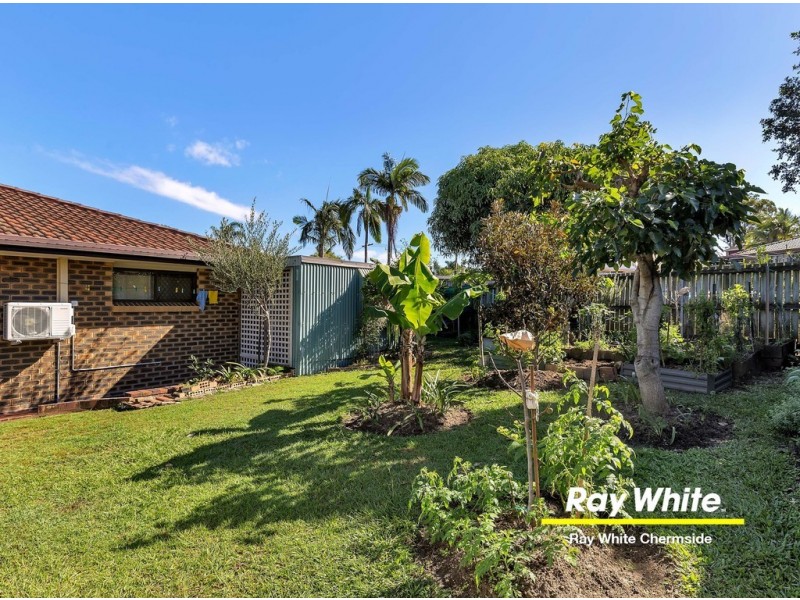 8 Caladium Street, Strathpine QLD 4500