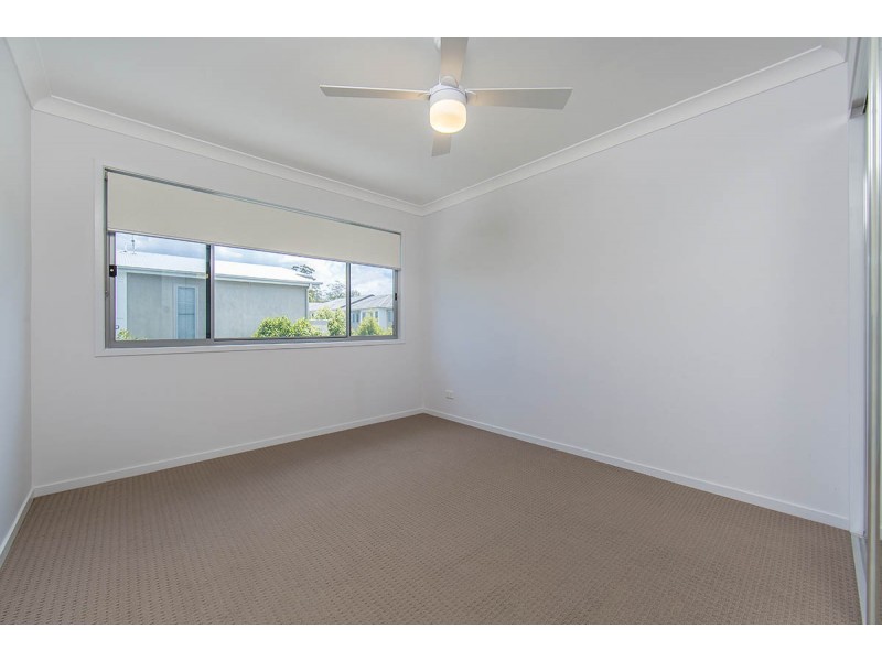 31/25 Northmarque Street, Carseldine QLD 4034