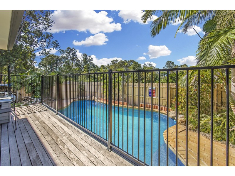 31 Chateau Street, Carseldine QLD 4034
