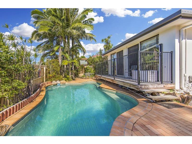 31 Chateau Street, Carseldine QLD 4034