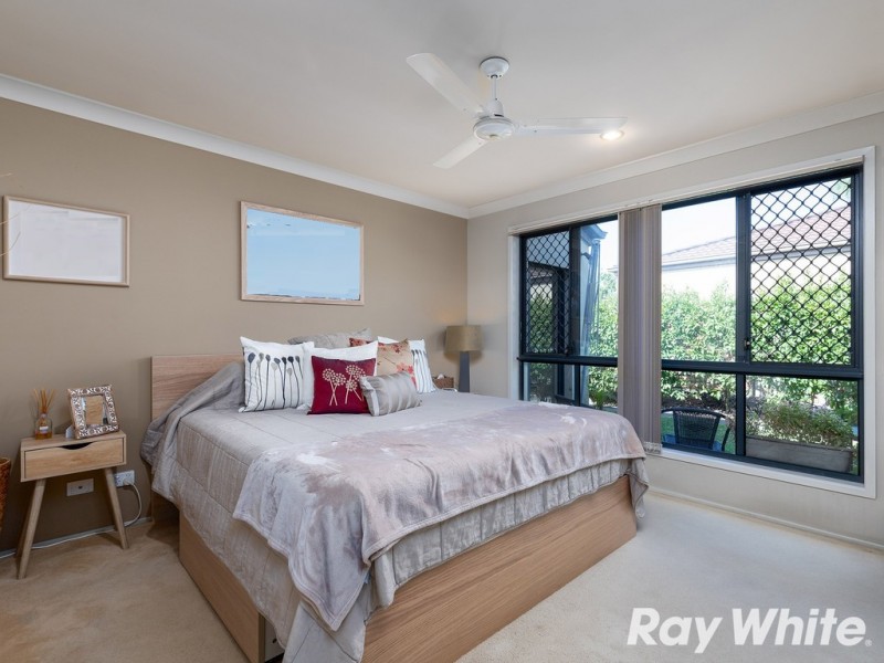 20 Macaranga Crescent, Carseldine QLD 4034