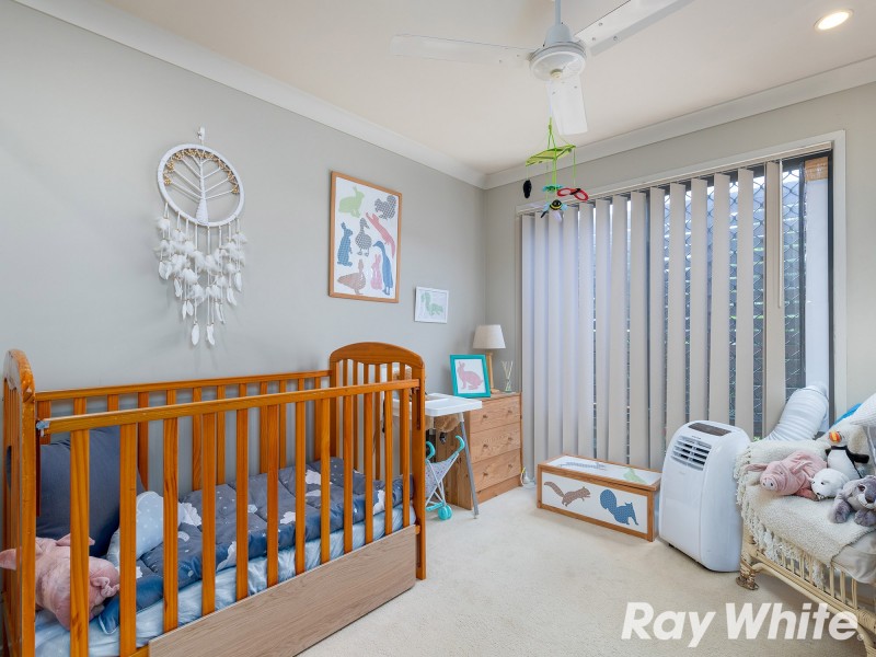 20 Macaranga Crescent, Carseldine QLD 4034