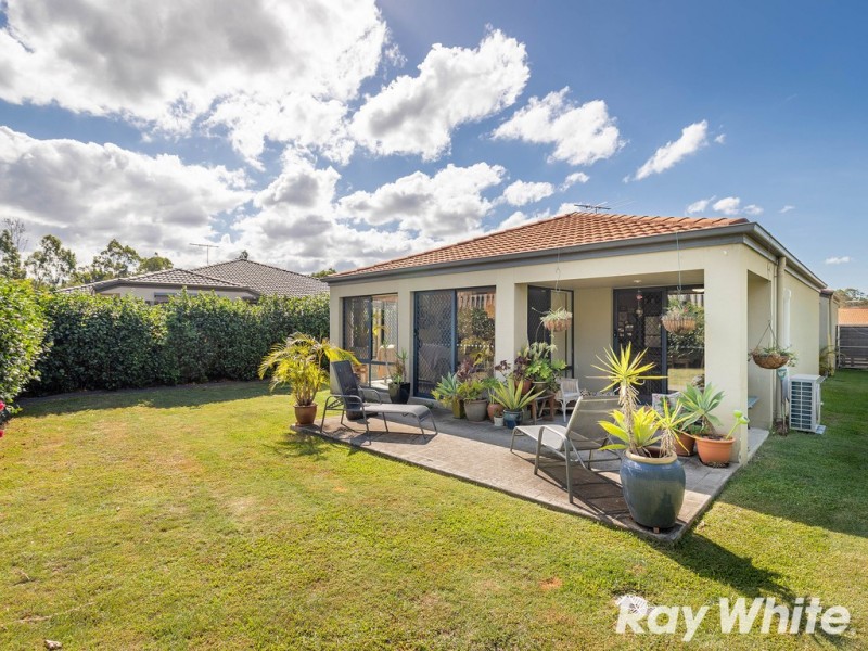 20 Macaranga Crescent, Carseldine QLD 4034