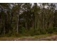 38 Coorong Street, Coomera QLD 4209