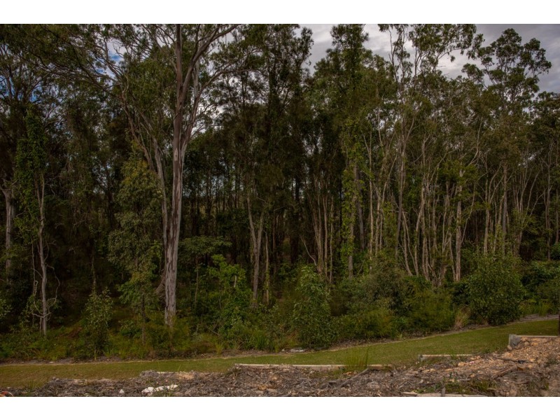 38 Coorong Street, Coomera QLD 4209