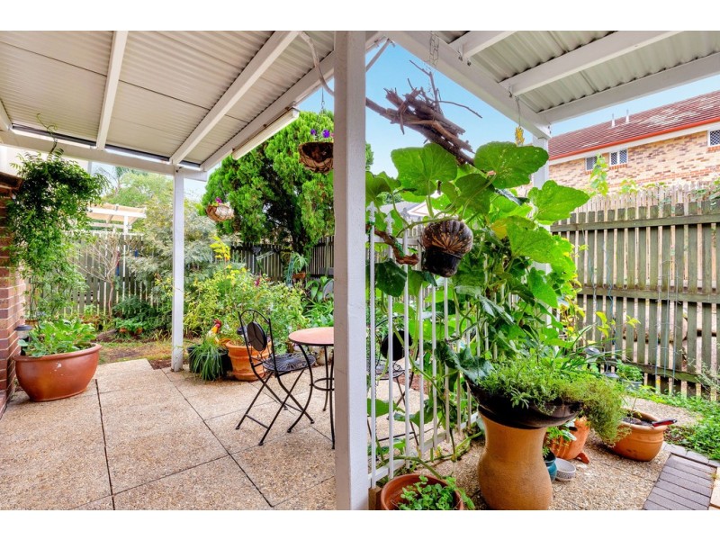 5 / 39 Pitta Place, Carseldine QLD 4034