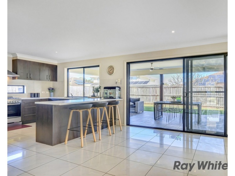 11 Singleton Place, Carseldine QLD 4034