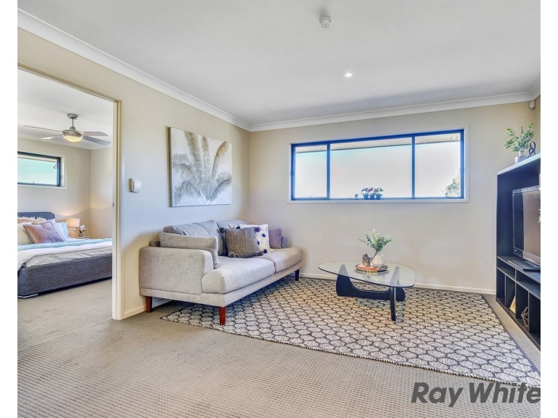 11 Singleton Place, Carseldine QLD 4034