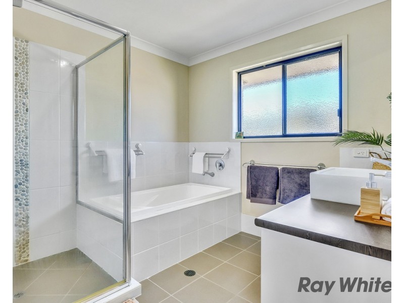 11 Singleton Place, Carseldine QLD 4034