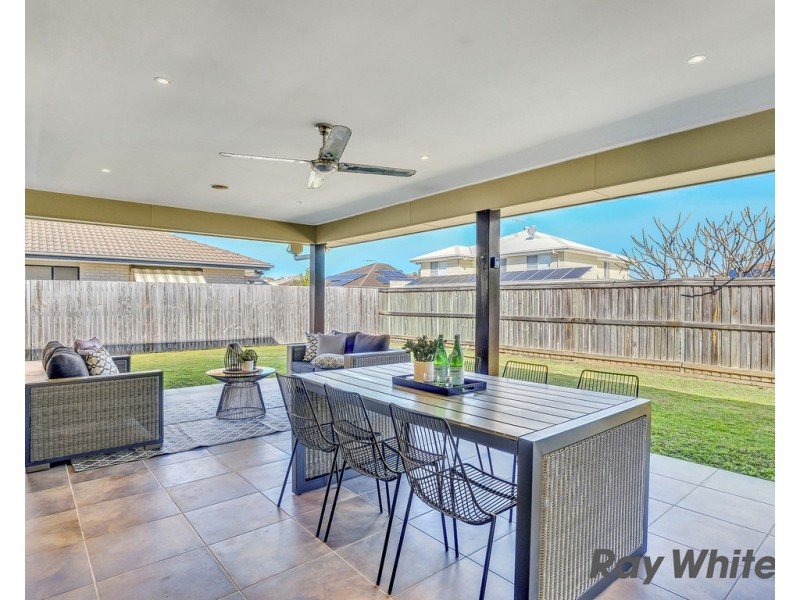 11 Singleton Place, Carseldine QLD 4034