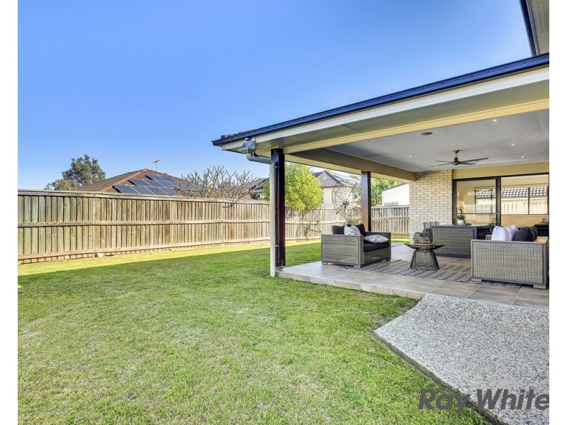 11 Singleton Place, Carseldine QLD 4034