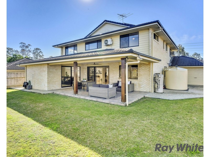 11 Singleton Place, Carseldine QLD 4034