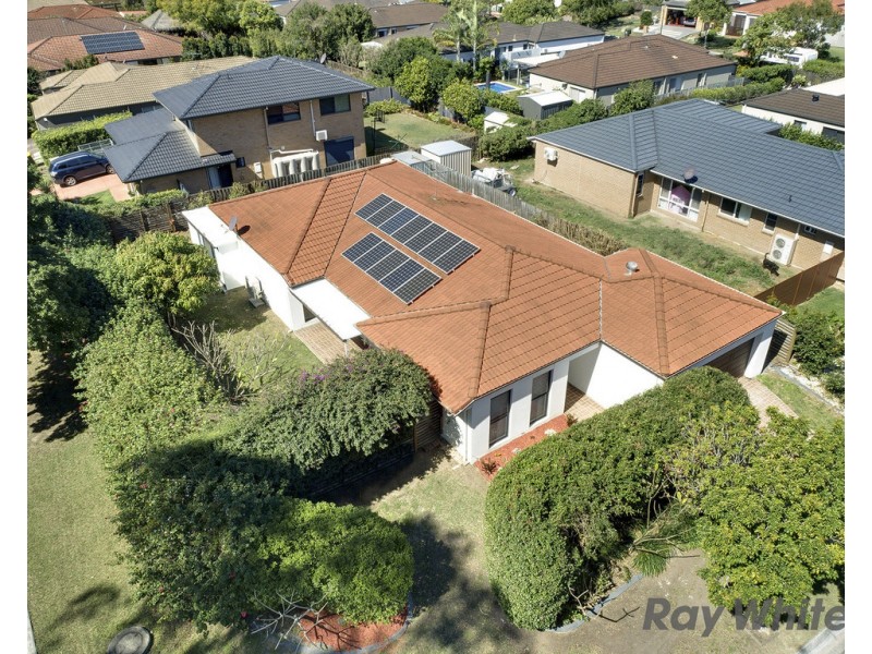 43 Macaranga Crescent, Carseldine QLD 4034