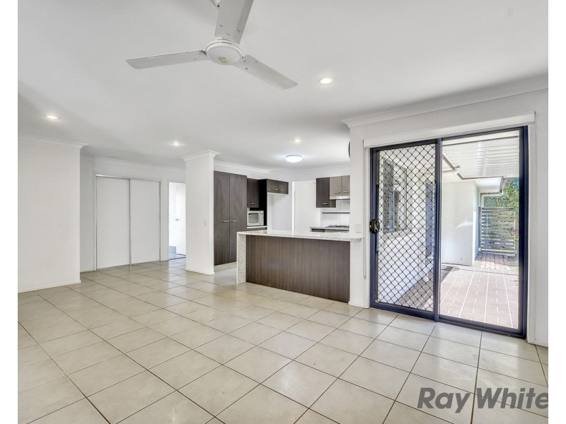 43 Macaranga Crescent, Carseldine QLD 4034
