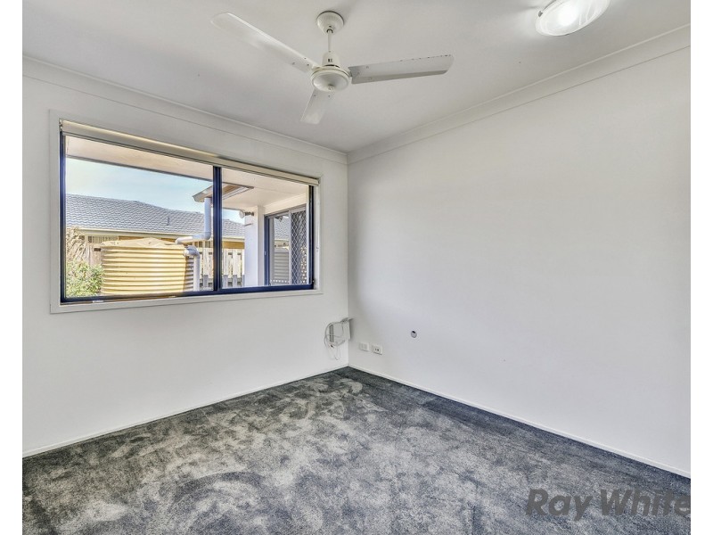 43 Macaranga Crescent, Carseldine QLD 4034