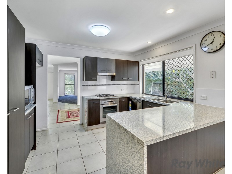 43 Macaranga Crescent, Carseldine QLD 4034