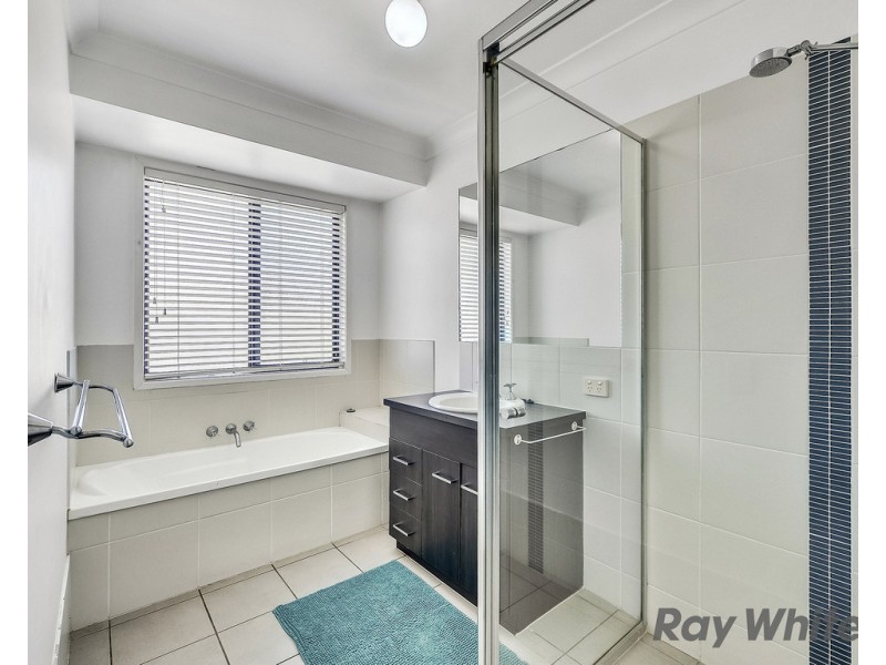 43 Macaranga Crescent, Carseldine QLD 4034