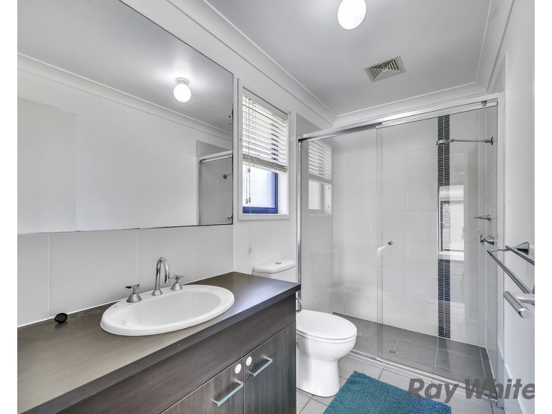 43 Macaranga Crescent, Carseldine QLD 4034