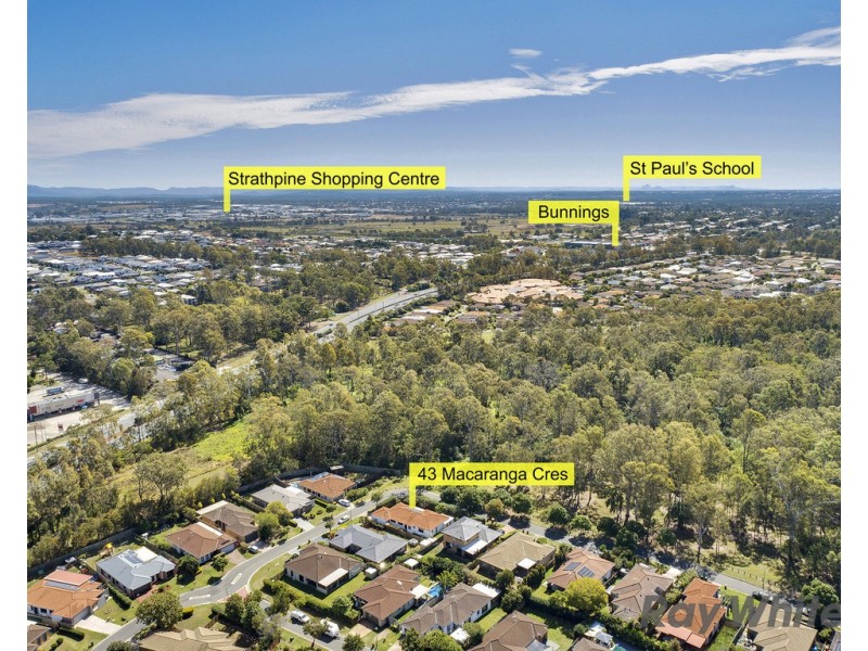 43 Macaranga Crescent, Carseldine QLD 4034