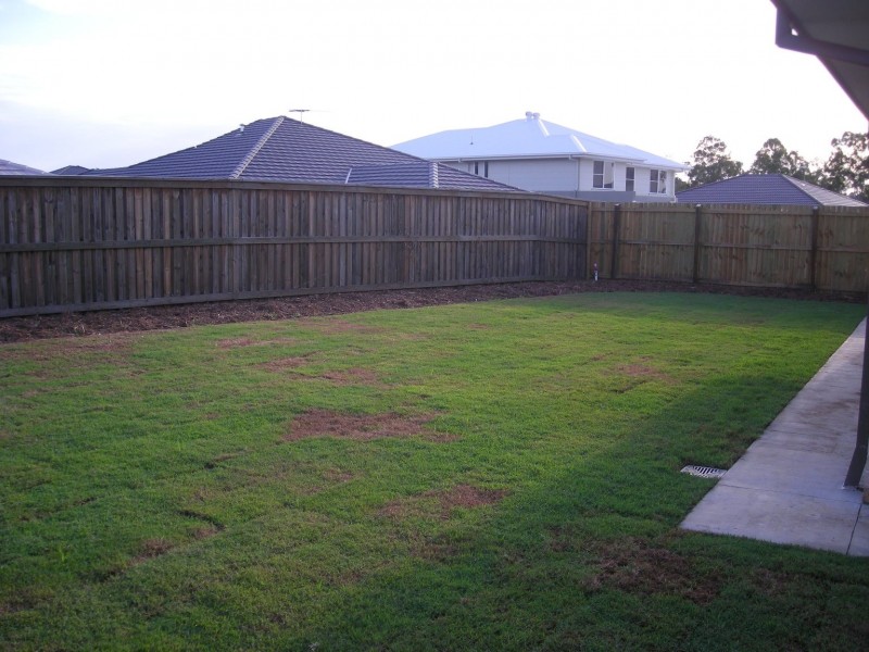 19 Singleton Place, Bald Hills QLD 4036