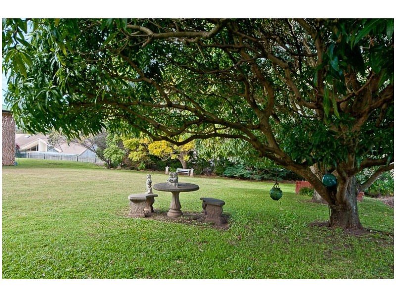 56 Denver Road, Carseldine QLD 4034