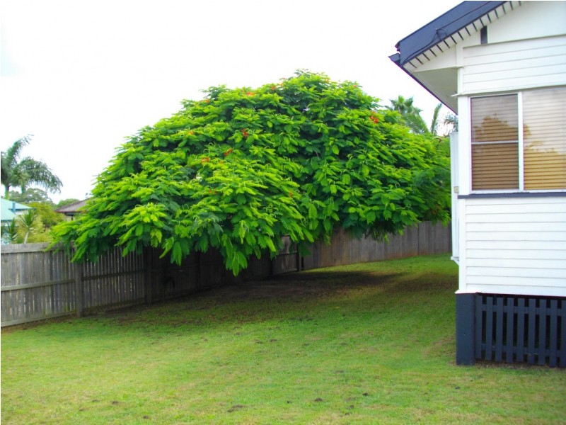 79 Hodgkinson Street, Chermside QLD 4032