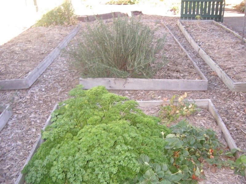 64 Pilba Street, Chermside QLD 4032