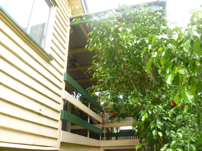 33 Fiat Avenue, Mitchelton QLD 4053