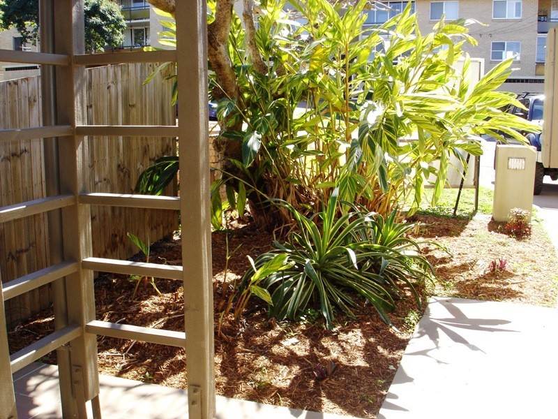 81 Curwen Terrace, Chermside QLD 4032