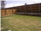 3 Melicope Close, Carseldine QLD 4034