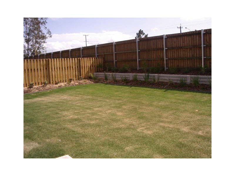 3 Melicope Close, Carseldine QLD 4034