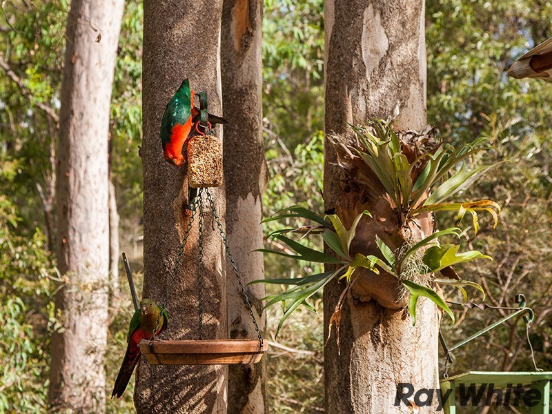 22 Peppermint Drive, Cashmere QLD 4500