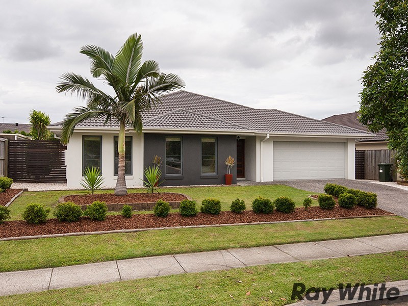 33 Raynbird Place, Carseldine QLD 4034