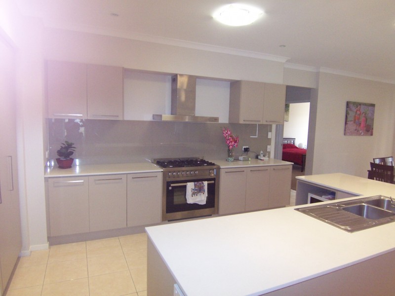 45 Lillydale Street, Carseldine QLD 4034