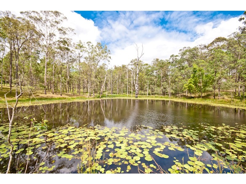 14 Theodore Road, Kurwongbah QLD 4503