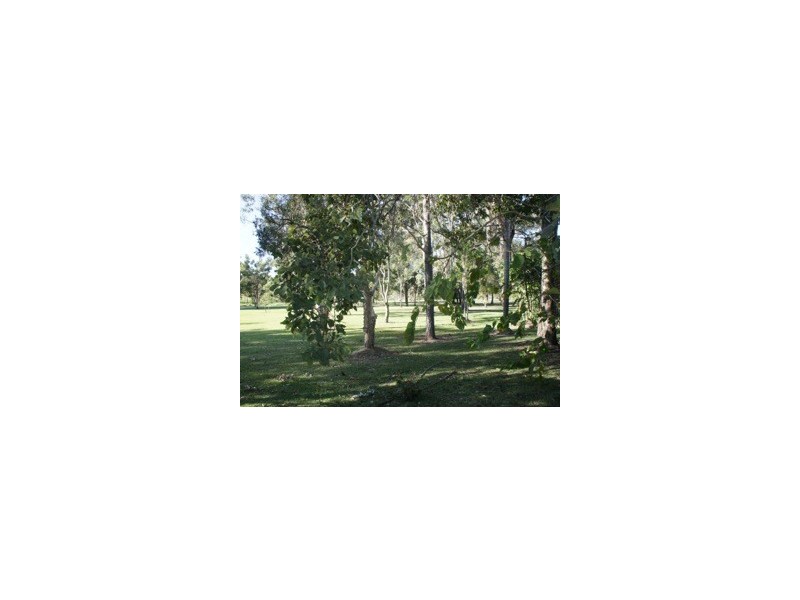 49 Reinhold Crescent, Chermside QLD 4032