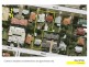 Chermside QLD 4032