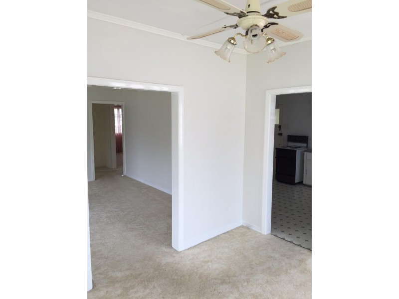 98 Flower Street, Northgate QLD 4013