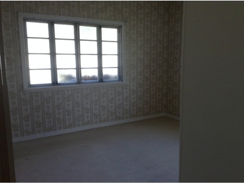 98 Flower Street, Northgate QLD 4013