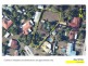 5 Anna Court, Boronia Heights QLD 4124