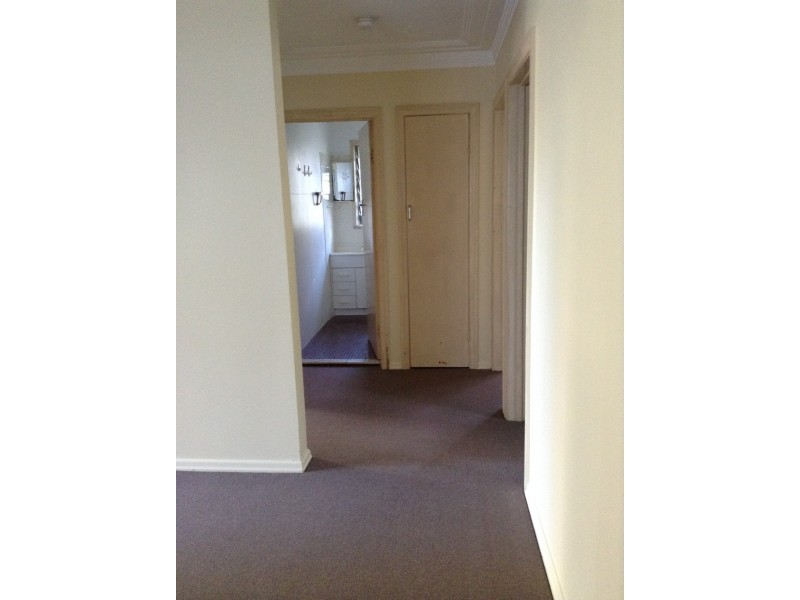 36 Playfield Street, Chermside QLD 4032