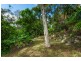 31 Grandview Drive, Newport NSW 2106