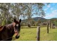 Tamborine QLD 4270