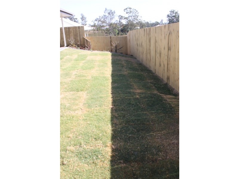 13 Cowie Street, Deebing Heights QLD 4306