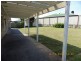42 Jonquil Circuit, Flinders View QLD 4305