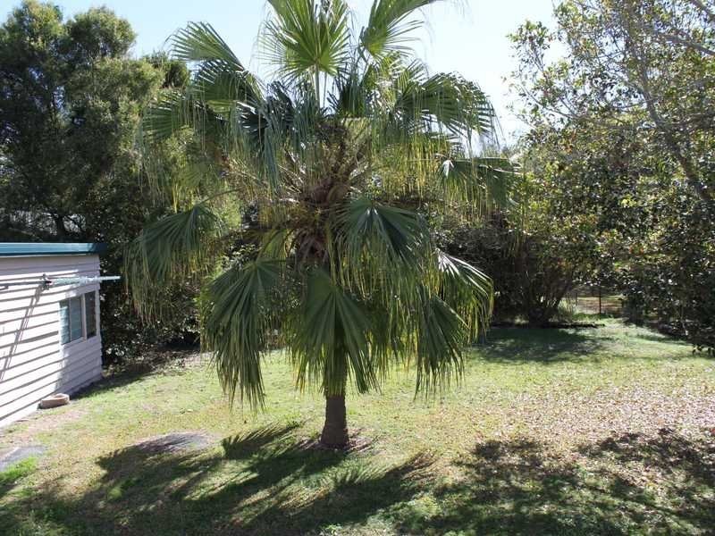 3 Davidson Street, Basin Pocket QLD 4305